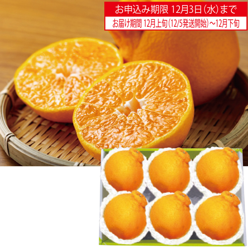 熊本・佐賀県産