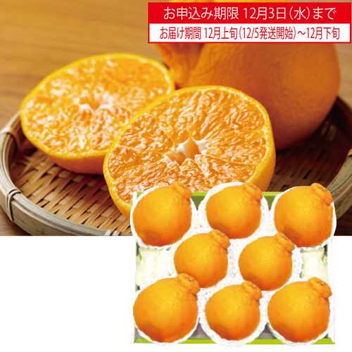 熊本・佐賀県産