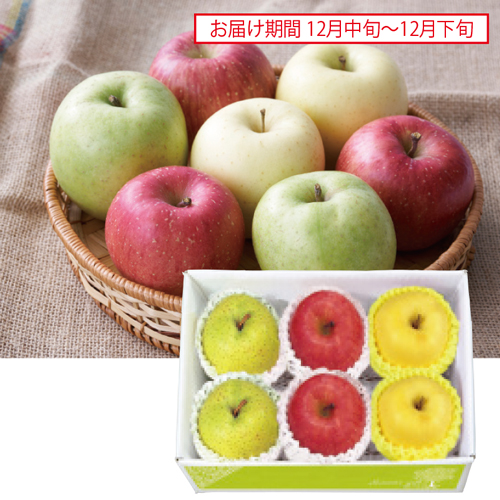 季節のりんご３種セット