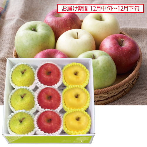 季節のりんご３種セット
