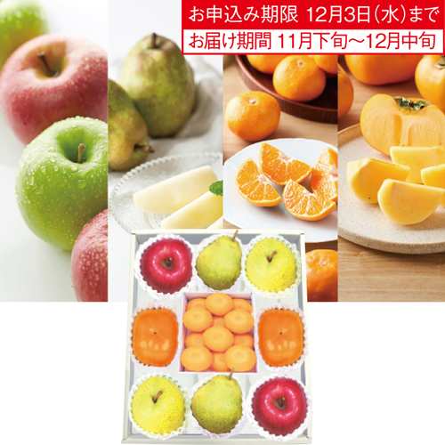 冬の旬の果物詰合せ