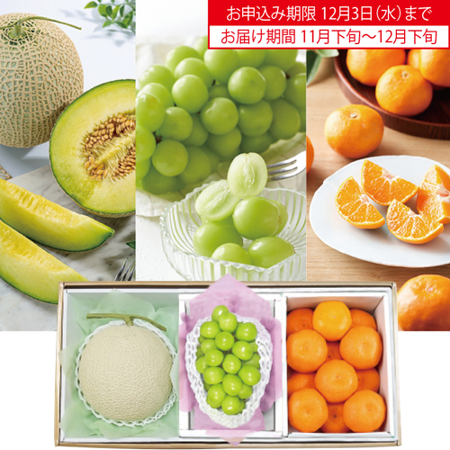 冬の贅沢な詰合せ