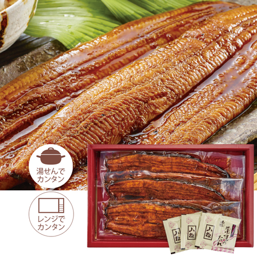 愛知県産うなぎ蒲焼（長焼き）Ｂ