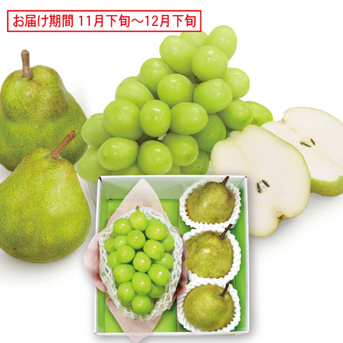 シャインマスカット＆ラ