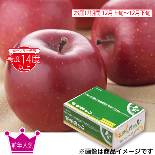 ながのっこサンふじりんご３ｋｇ